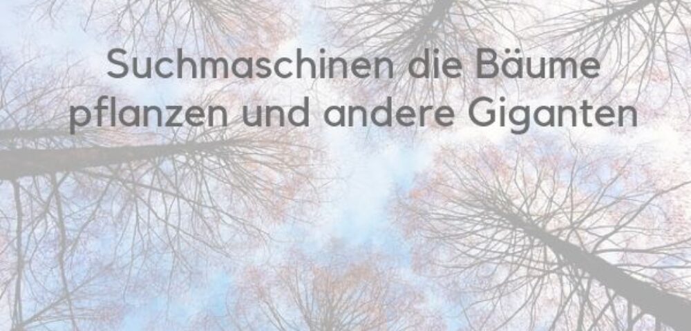 Ecosia hat ein anderes Geschäftsmodell als Google